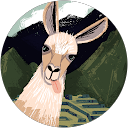 Barbara Foreit profile picture